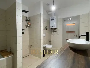 Pronájem bytu 3+kk, Teplice, Jakoubkova, 98 m2
