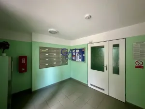 Prodej bytu 1+1, Veselí nad Moravou, Hutník, 37 m2