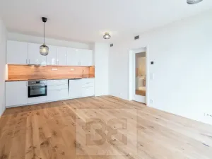 Pronájem bytu 2+kk, Praha - Radlice, 55 m2