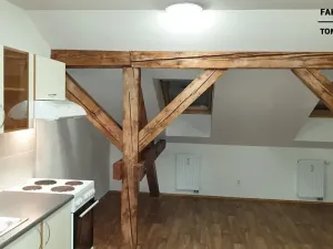 Pronájem bytu 1+kk, Ústí nad Labem, Londýnská, 44 m2