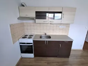 Prodej bytu 1+1, Borotín, 47 m2