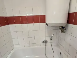 Prodej bytu 1+1, Borotín, 47 m2