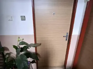Prodej bytu 1+1, Borotín, 47 m2