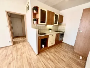 Pronájem bytu 2+kk, Mladá Boleslav - Mladá Boleslav II, 17. listopadu, 45 m2