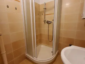 Pronájem bytu 1+1, Frýdlant nad Ostravicí, Palackého, 38 m2