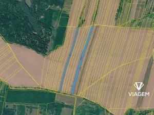 Prodej podílu pole, Částkov, 4446 m2