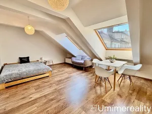 Pronájem bytu 1+kk, Praha - Vinohrady, Šrobárova, 50 m2