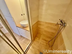 Pronájem bytu 1+kk, Praha - Vinohrady, Šrobárova, 50 m2