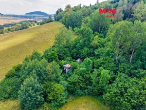 Prodej zahrady, Kdyně - Prapořiště, 3290 m2