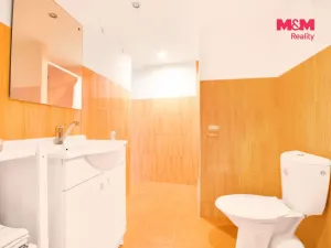 Prodej rodinného domu, Kleneč, Kozina, 86 m2