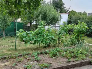 Prodej chaty, Kladno, U Trati, 20 m2