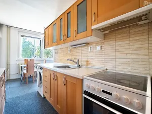 Prodej bytu 2+1, Brno, Mikulčická, 56 m2