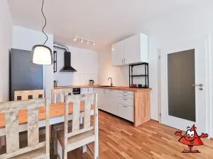 Pronájem bytu 1+kk, Praha - Karlín, Breitfeldova, 61 m2