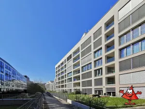Pronájem bytu 1+kk, Praha - Karlín, Breitfeldova, 61 m2