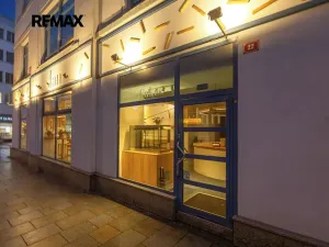 Pronájem obchodního prostoru, Plzeň, Škroupova, 210 m2