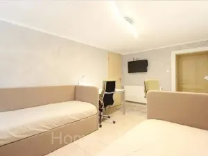 Pronájem bytu 1+1, Brno, Elišky Krásnohorské, 55 m2