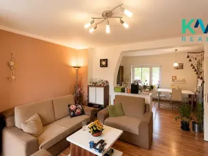 Prodej rodinného domu, Nové Sedlo, 270 m2
