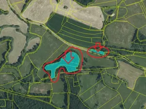 Prodej lesa, Čížkov, 10503 m2