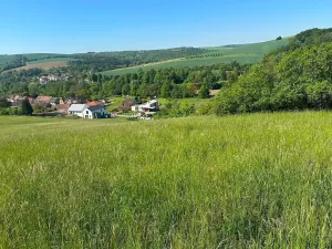Prodej podílu louky, Buchlovice, 8138 m2