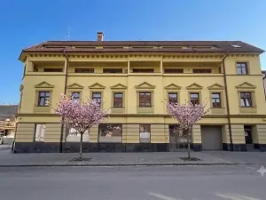 Prodej bytu 1+kk, Brno, Tišnovská, 29 m2