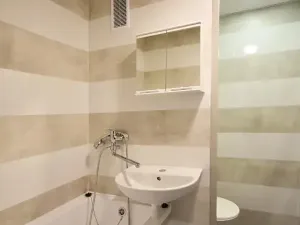 Pronájem bytu 1+1, Chomutov, Dřínovská, 35 m2