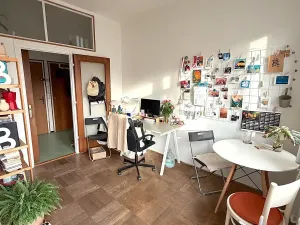 Pronájem bytu 1+1, Brno, Hoppova, 45 m2