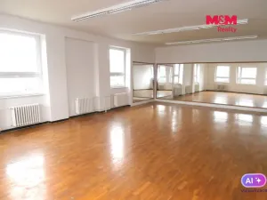 Pronájem obchodního prostoru, Ostrava - Mariánské Hory, Karasova, 335 m2