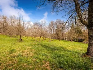 Prodej pozemku pro bydlení, Lhenice, 1219 m2