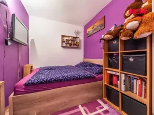 Prodej bytu 2+1, Plzeň, Brněnská, 39 m2