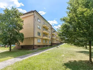 Prodej bytu 2+1, Tábor, Husinecká, 66 m2