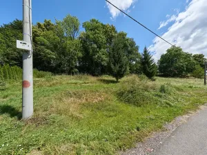 Prodej pozemku pro bydlení, Horní Olešnice, 1849 m2