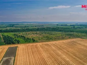 Prodej pole, Rakvice, 21280 m2