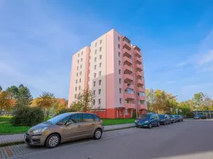 Prodej bytu 1+kk, České Budějovice, K. Chocholy, 30 m2