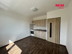 Pronájem bytu 1+1, Děčín, Nálepkova, 35 m2