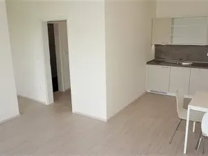 Pronájem bytu 1+kk, Střelice, Příční, 43 m2