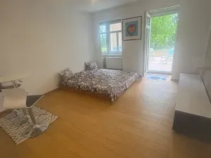 Pronájem bytu 1+kk, Praha - Břevnov, Nad Závěrkou, 35 m2
