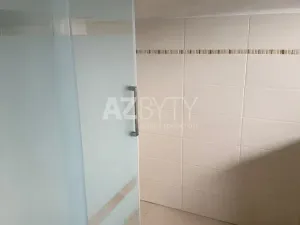 Prodej vícegeneračního domu, Záboří nad Labem, Příčná, 360 m2