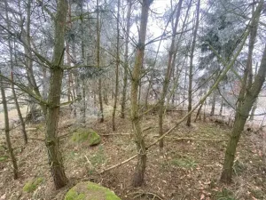 Dražba pole, Slatina, 13059 m2
