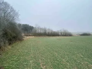 Dražba pole, Slatina, 13059 m2