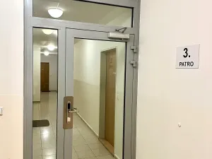 Pronájem bytu 2+kk, Praha - Žižkov, Jeseniova, 55 m2