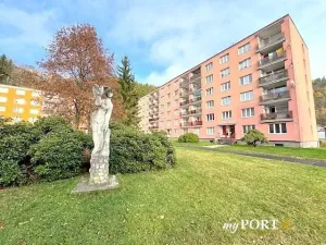 Pronájem bytu 3+1, Nejdek, Rolavská, 78 m2