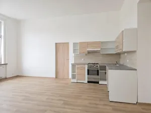 Pronájem bytu 4+kk, Teplice, Dubská, 97 m2