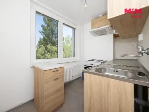 Pronájem bytu 1+1, Lázně Bohdaneč, Na Lužci, 35 m2