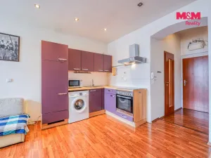 Prodej bytu 2+kk, Plzeň - Východní Předměstí, Guldenerova, 39 m2