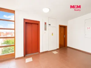 Prodej bytu 2+kk, Praha - Nusle, Lumírova, 70 m2