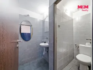 Prodej restaurace, Libina - Dolní Libina, 300 m2
