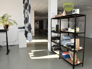 Pronájem výrobních prostor, Ostrava, Cihelní, 701 m2