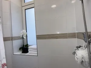 Pronájem bytu 1+kk, Opava - Předměstí, Alšova, 15 m2