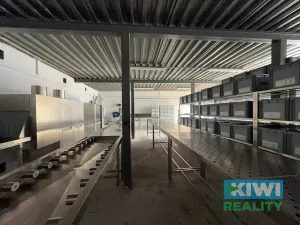 Prodej výrobních prostor, Doloplazy, 745 m2