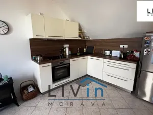 Pronájem bytu 1+kk, Olomouc, Sokolská, 52 m2